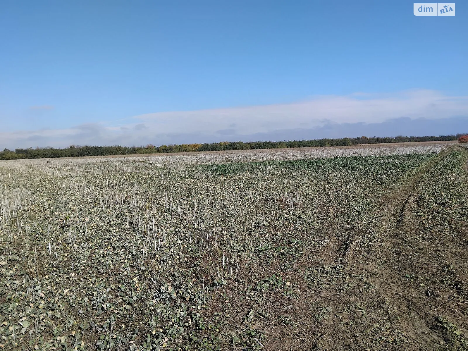 Сдается в аренду земельный участок 11.6789 соток в Хмельницкой области, цена: 40843 грн - фото 1