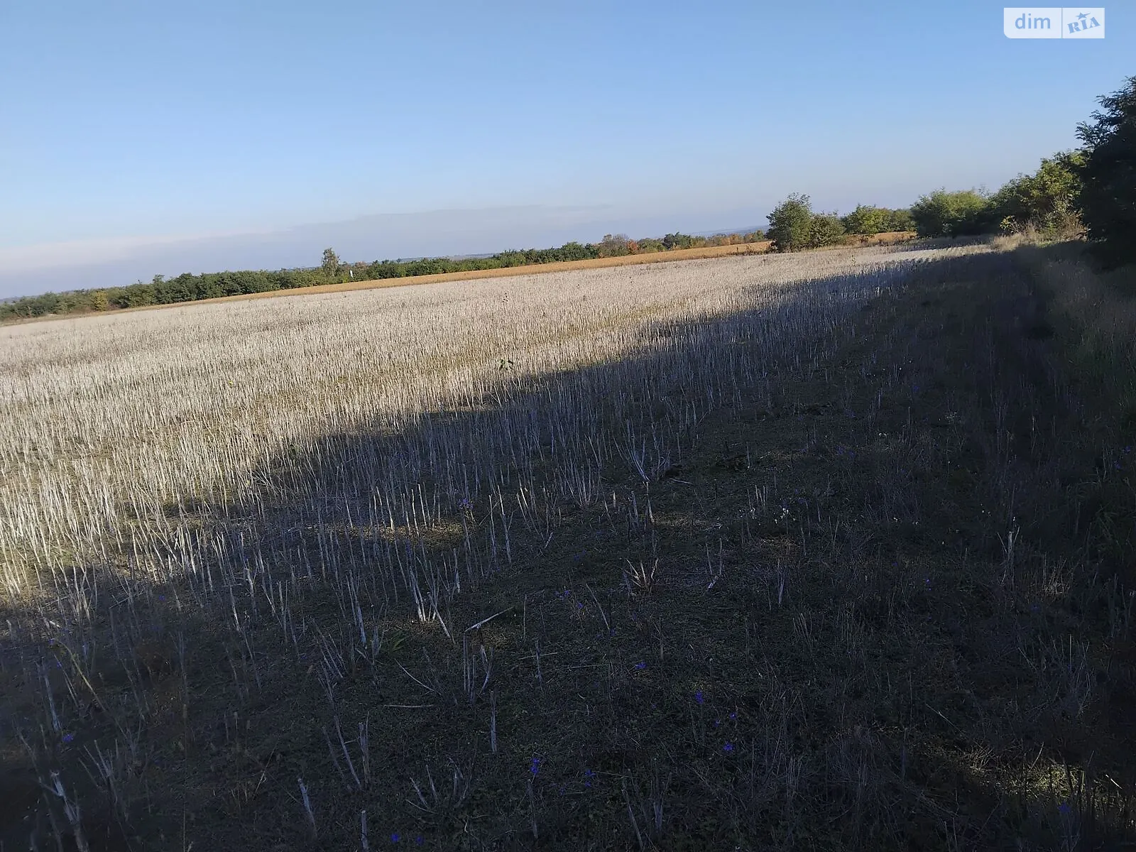 Сдается в аренду земельный участок 15.8396 соток в Хмельницкой области, цена: 81338 грн - фото 1