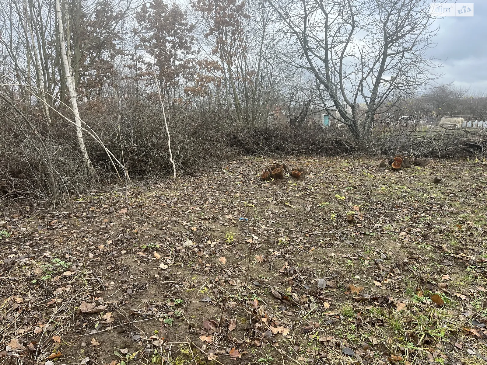 Продается земельный участок 10 соток в Винницкой области, цена: 5300 $ - фото 1