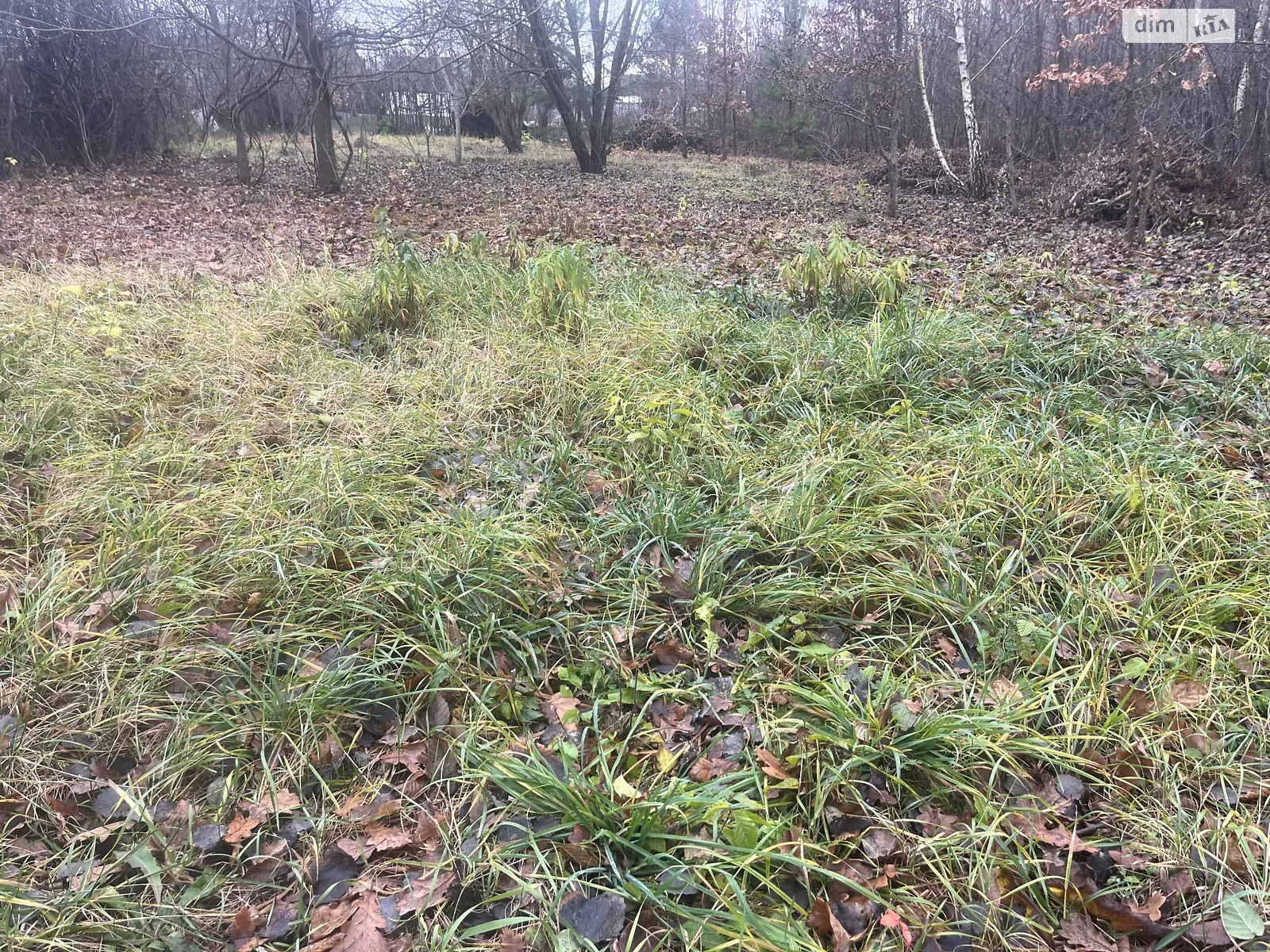 Продается земельный участок 5 соток в Винницкой области, цена: 3300 $ - фото 1