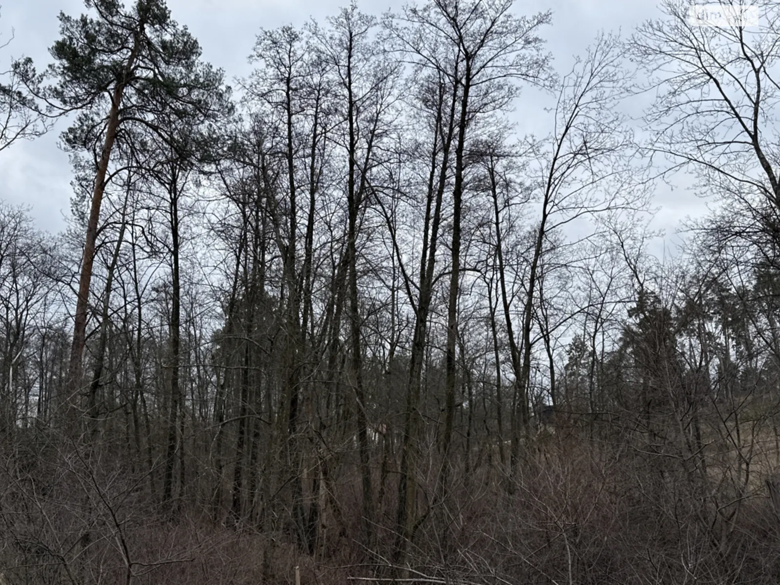 11лінія, 5 Ирпень, цена: 72000 $ - фото 1