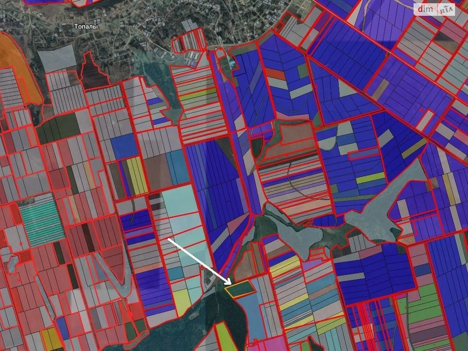 Черная, цена: 89955 грн - фото 1