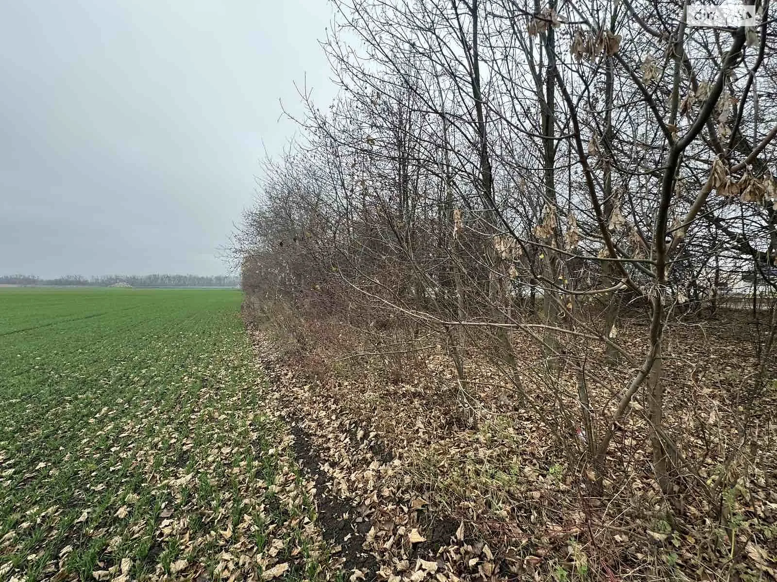 Продается земельный участок 5 соток в Винницкой области, цена: 15000 $ - фото 1