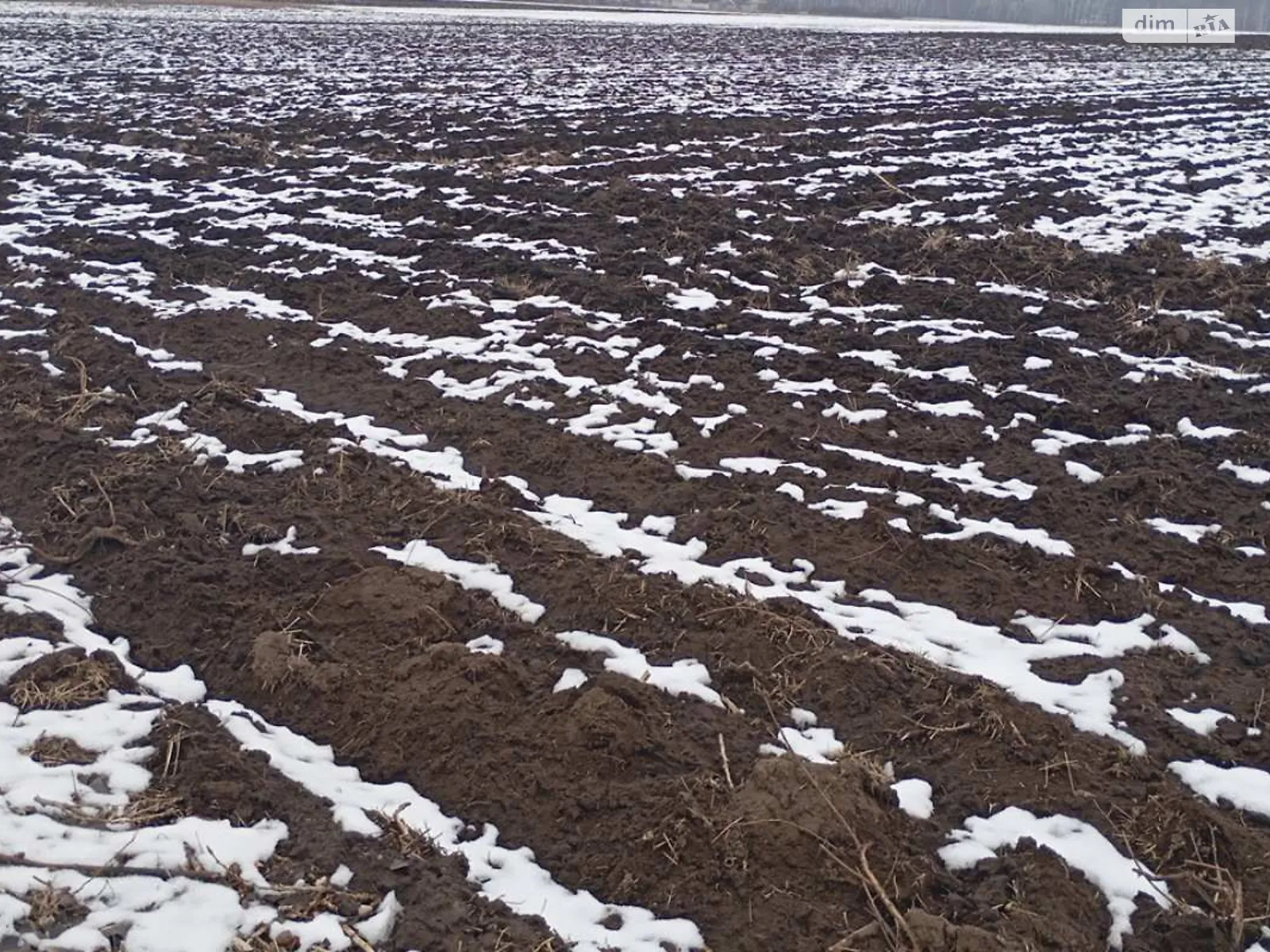 Коломак, цена: 65020 грн - фото 1