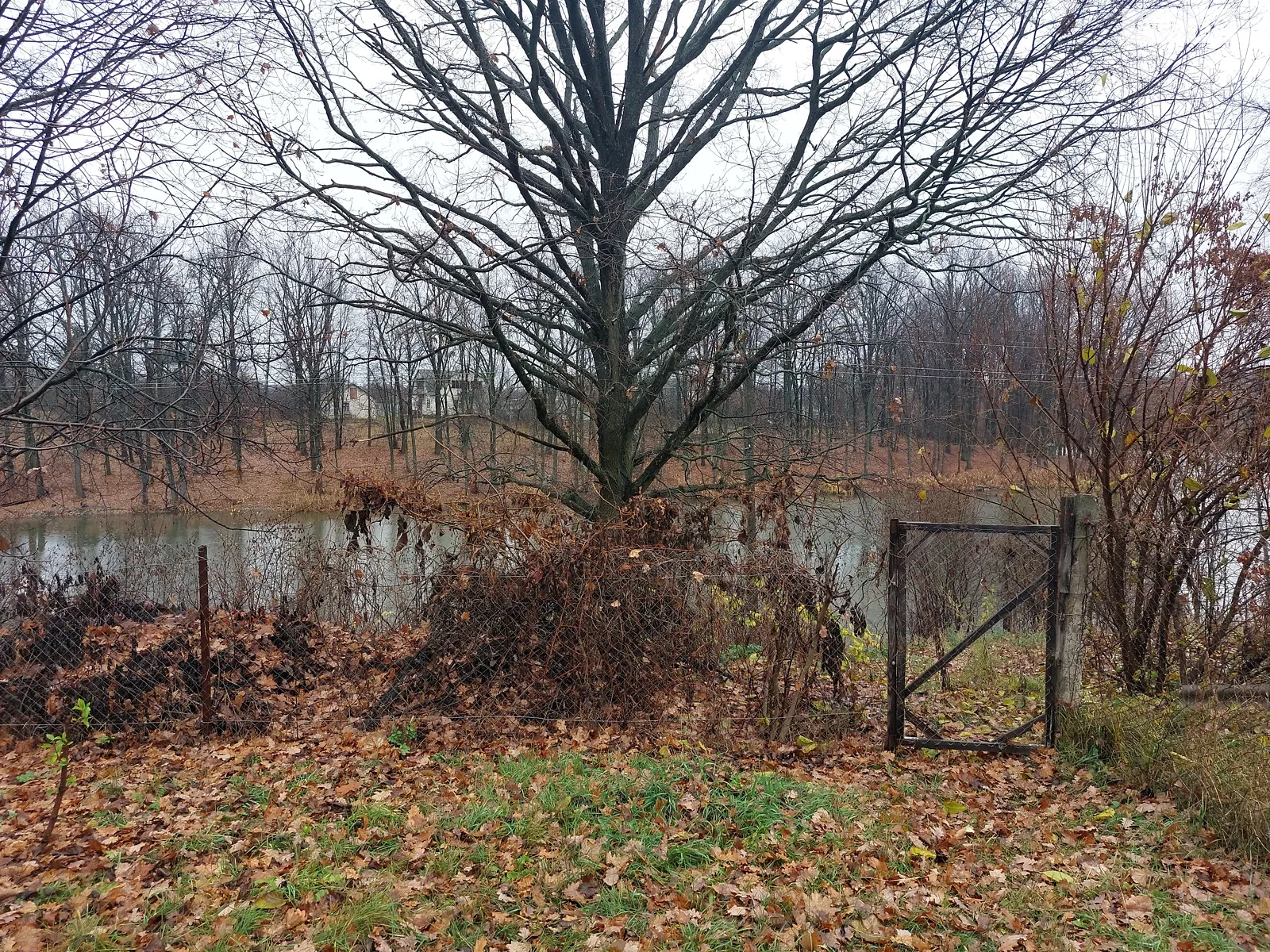 Продается дом на 2 этажа 75 кв. м с беседкой, цена: 30000 $ - фото 1