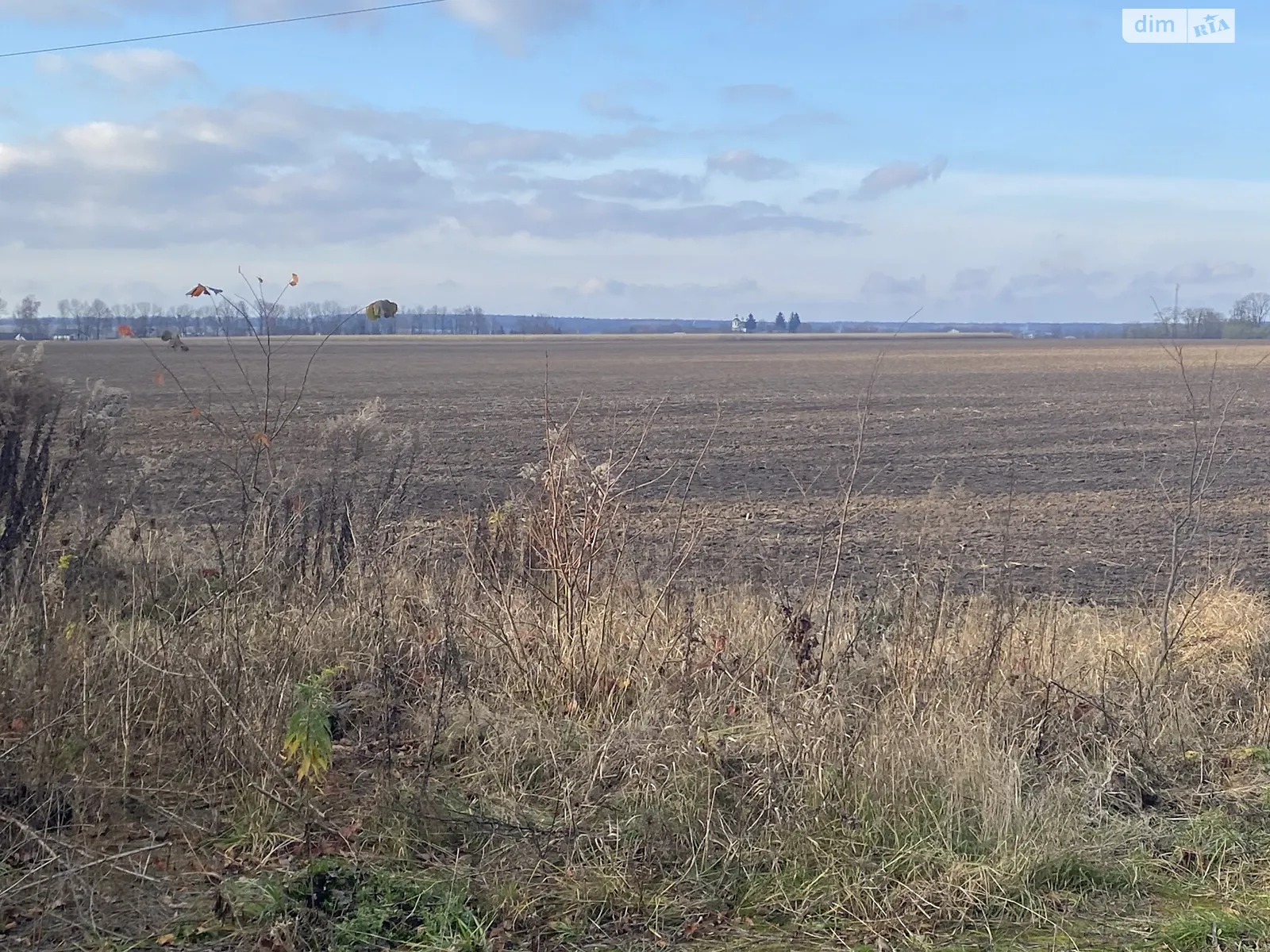 Продается земельный участок 30 соток в Винницкой области, цена: 75000 $ - фото 1