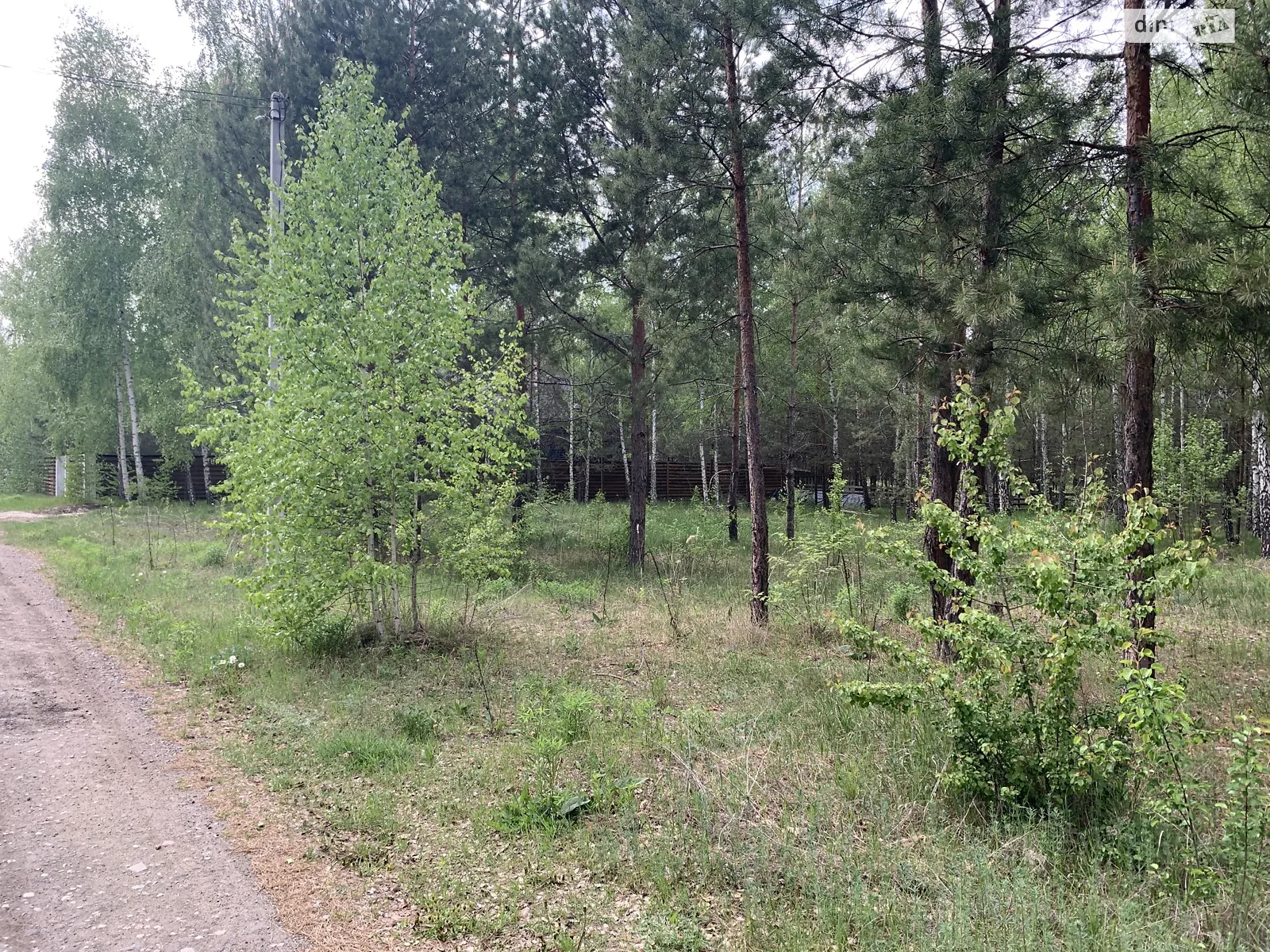 Продається земельна ділянка 24 соток у Київській області, цена: 24000 $ - фото 1