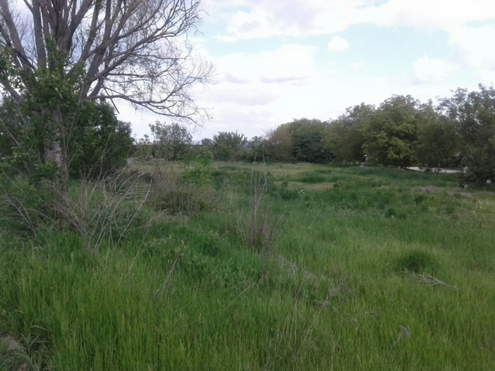 Продается земельный участок 1.6 соток в Днепропетровской области, цена: 200000 $ - фото 1