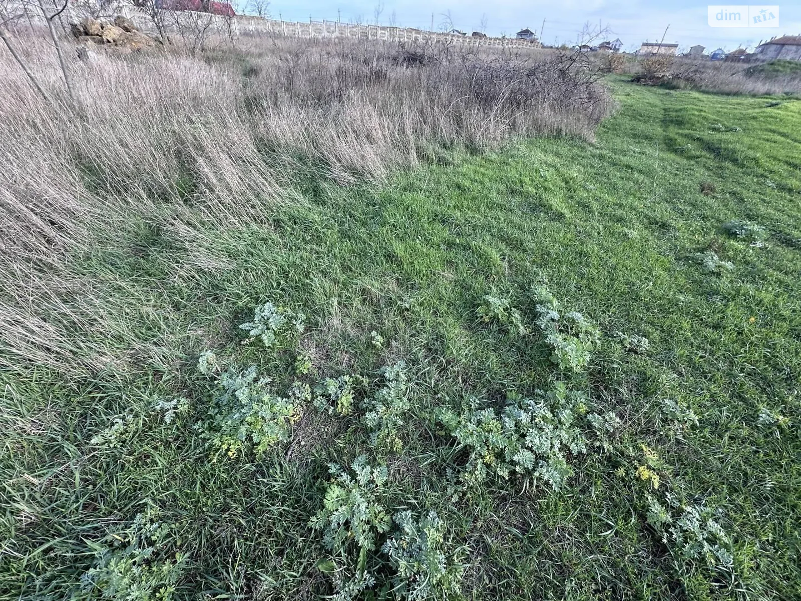 Продается земельный участок 10 соток в Одесской области, цена: 30800 $ - фото 1