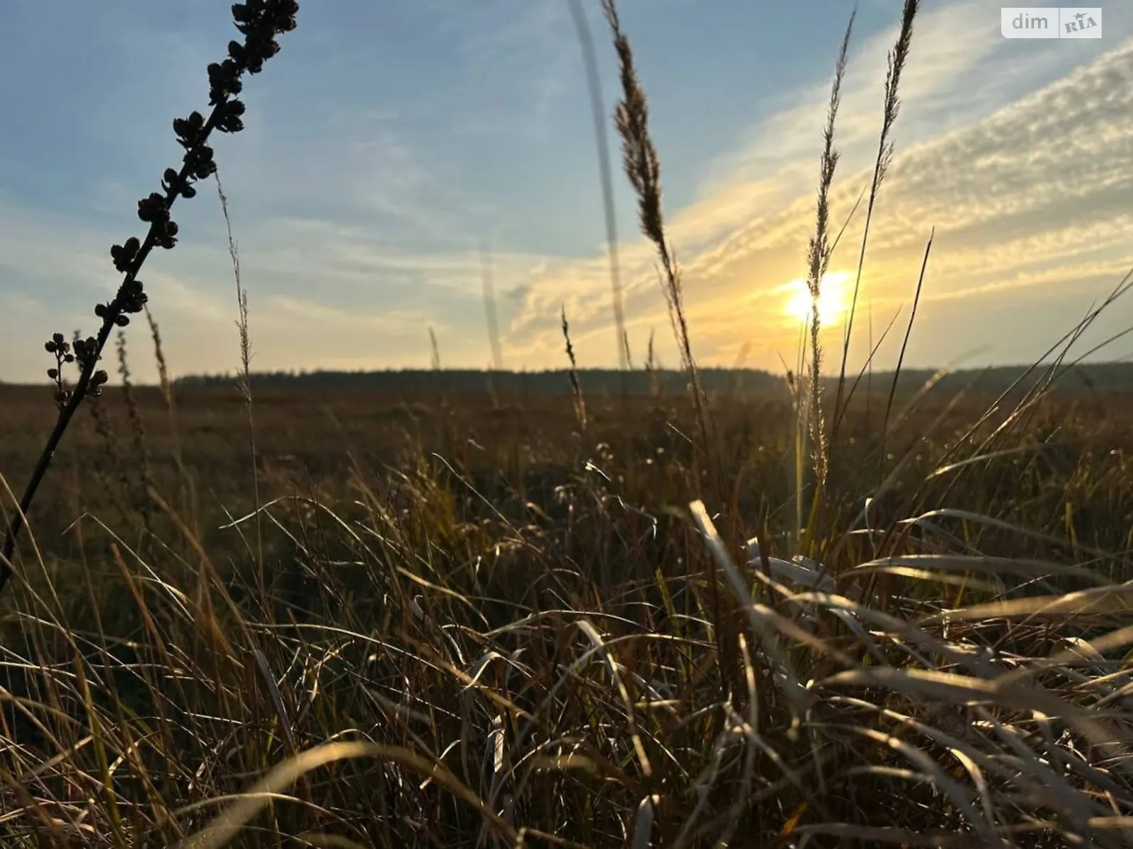 Продається земельна ділянка 12 соток у Київській області, цена: 9000 $ - фото 1