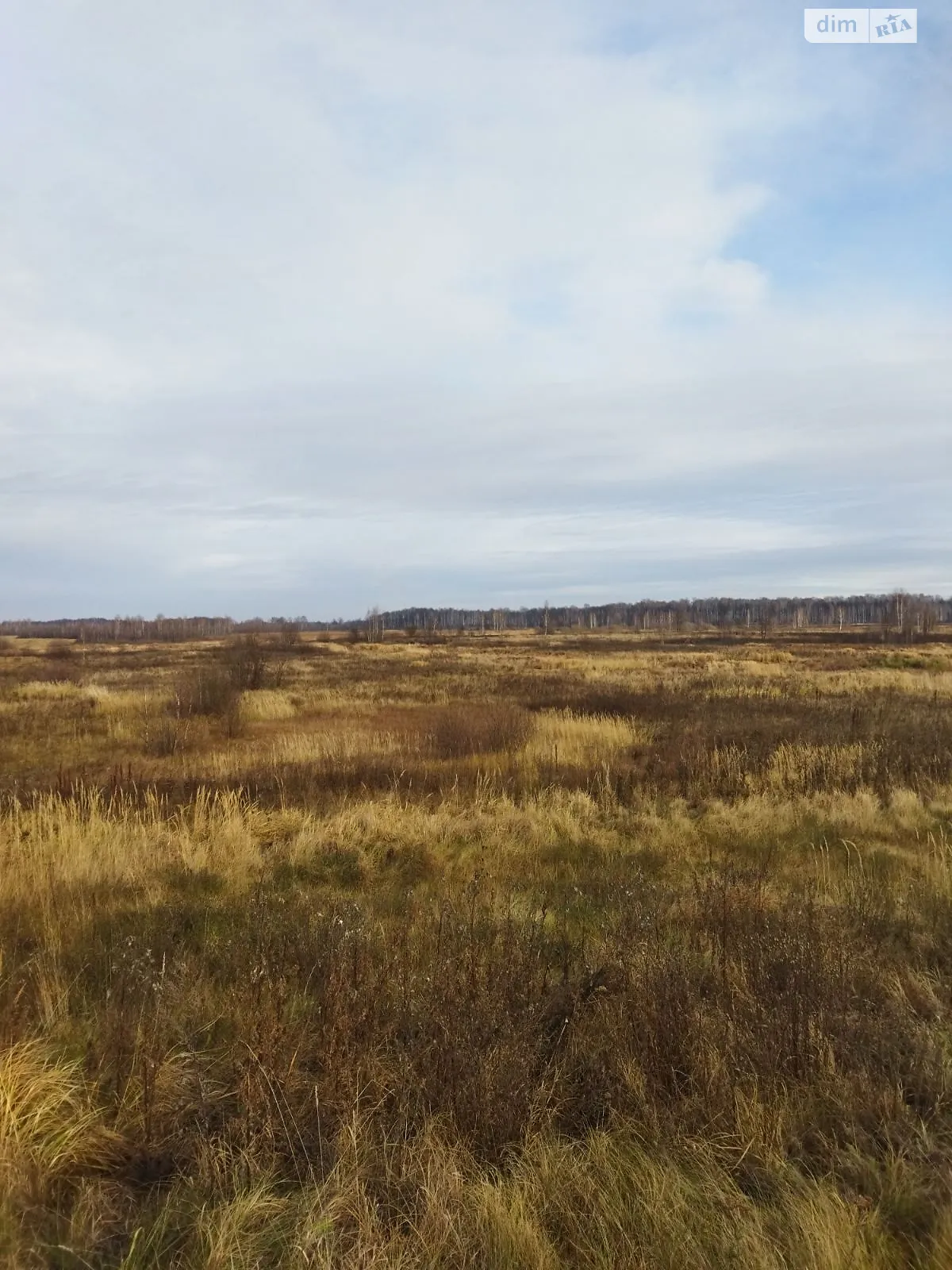Сдается в аренду земельный участок 13 соток в области, цена: 5497 грн - фото 1
