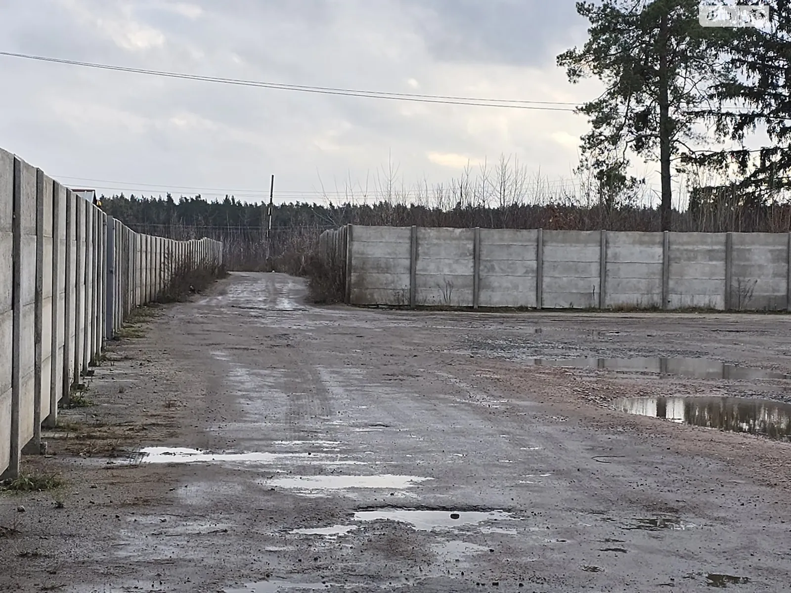 Продается земельный участок 30 соток в Житомирской области, цена: 70000 $ - фото 1