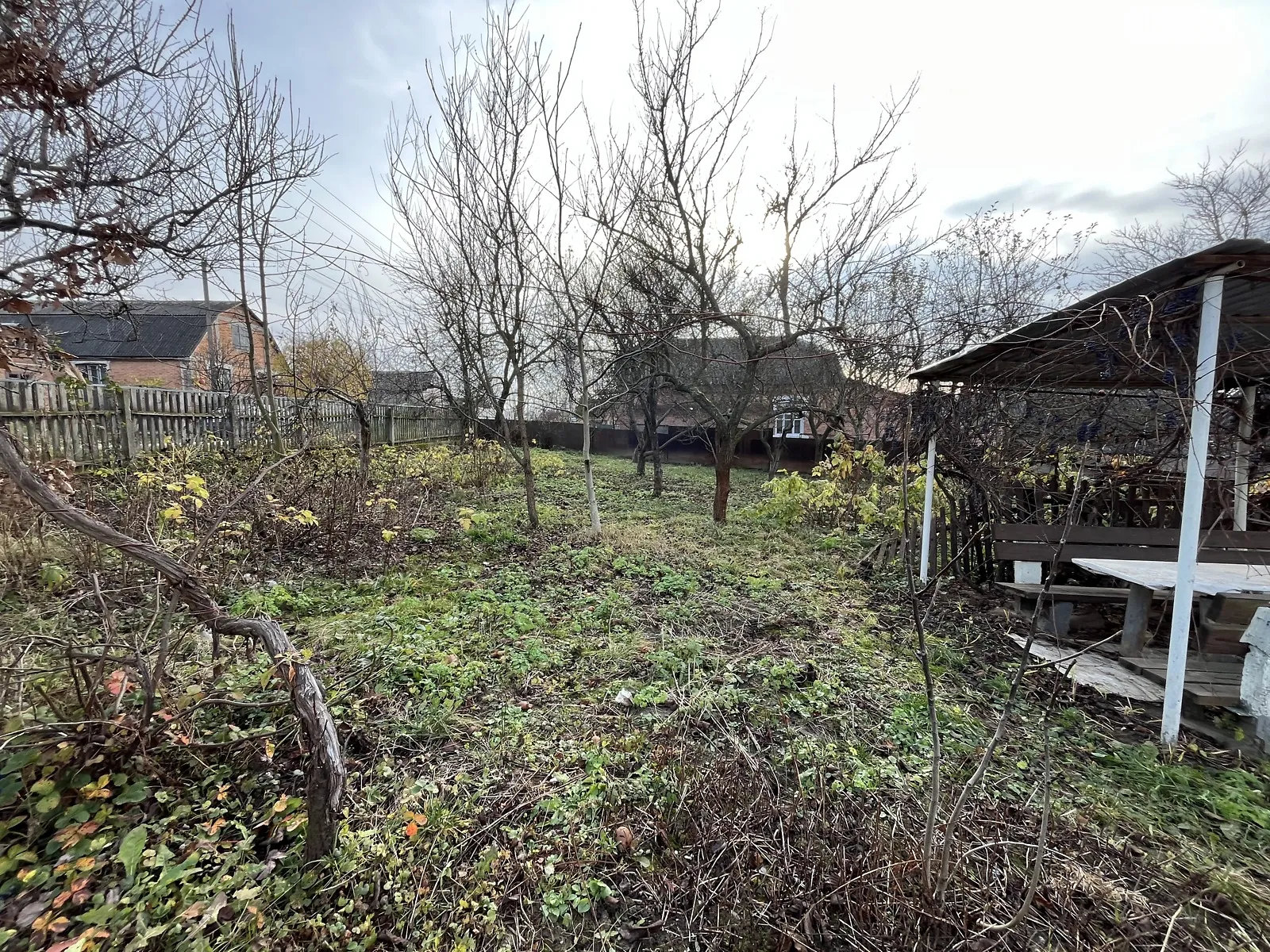 Продается земельный участок 60 соток в Винницкой области, цена: 62000 $ - фото 1