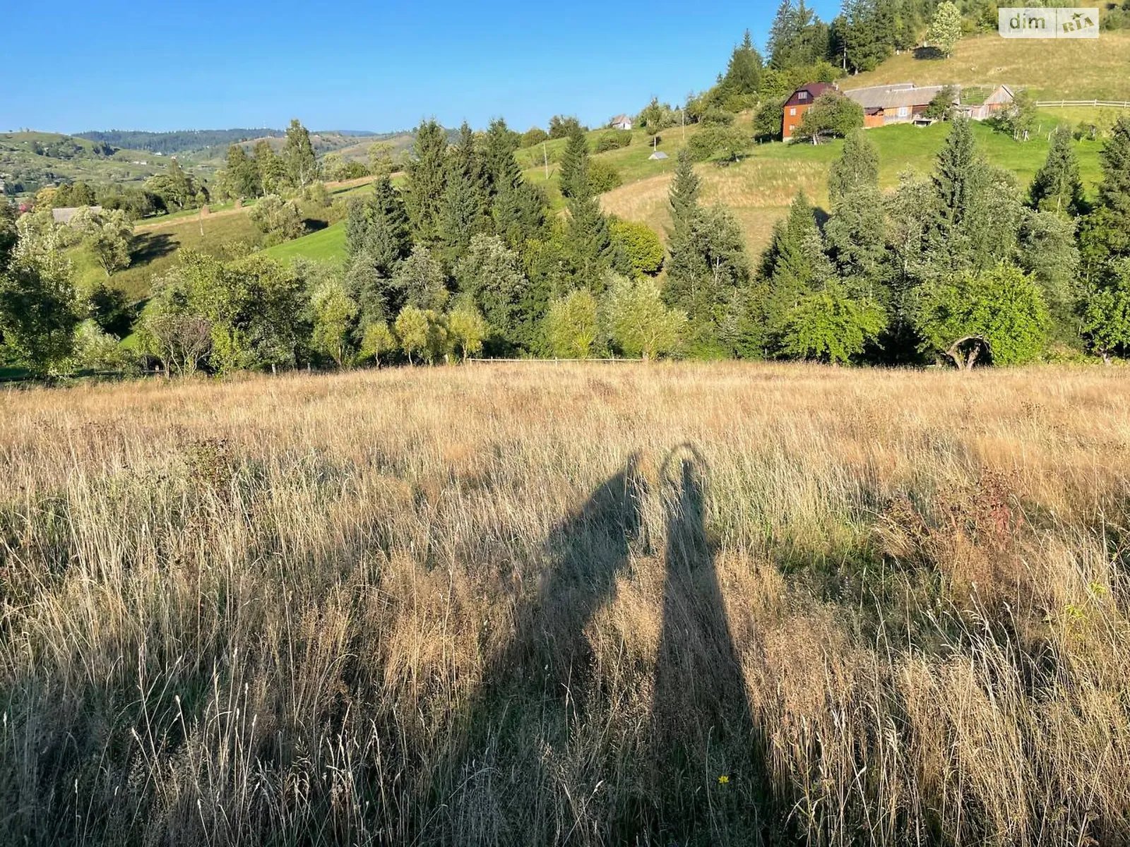 Ясиня, цена: 40000 $ - фото 1