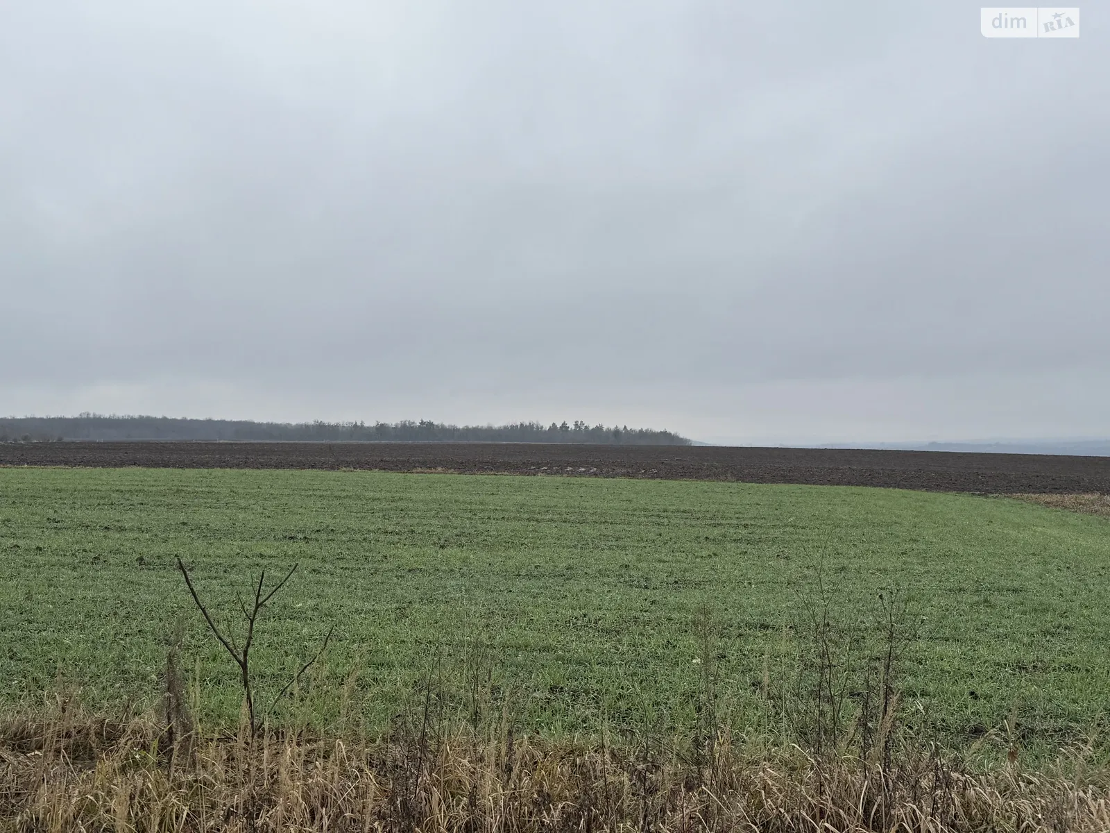 Продается земельный участок 3 соток в Ровенской области, цена: 22500 $ - фото 1
