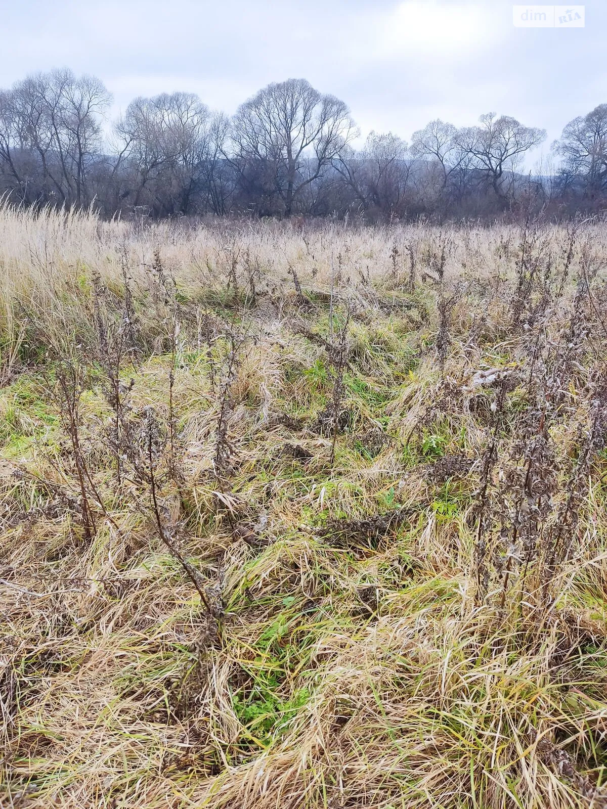 Сдается в аренду земельный участок 1.641 соток в Львовской области, цена: 1175 грн - фото 1