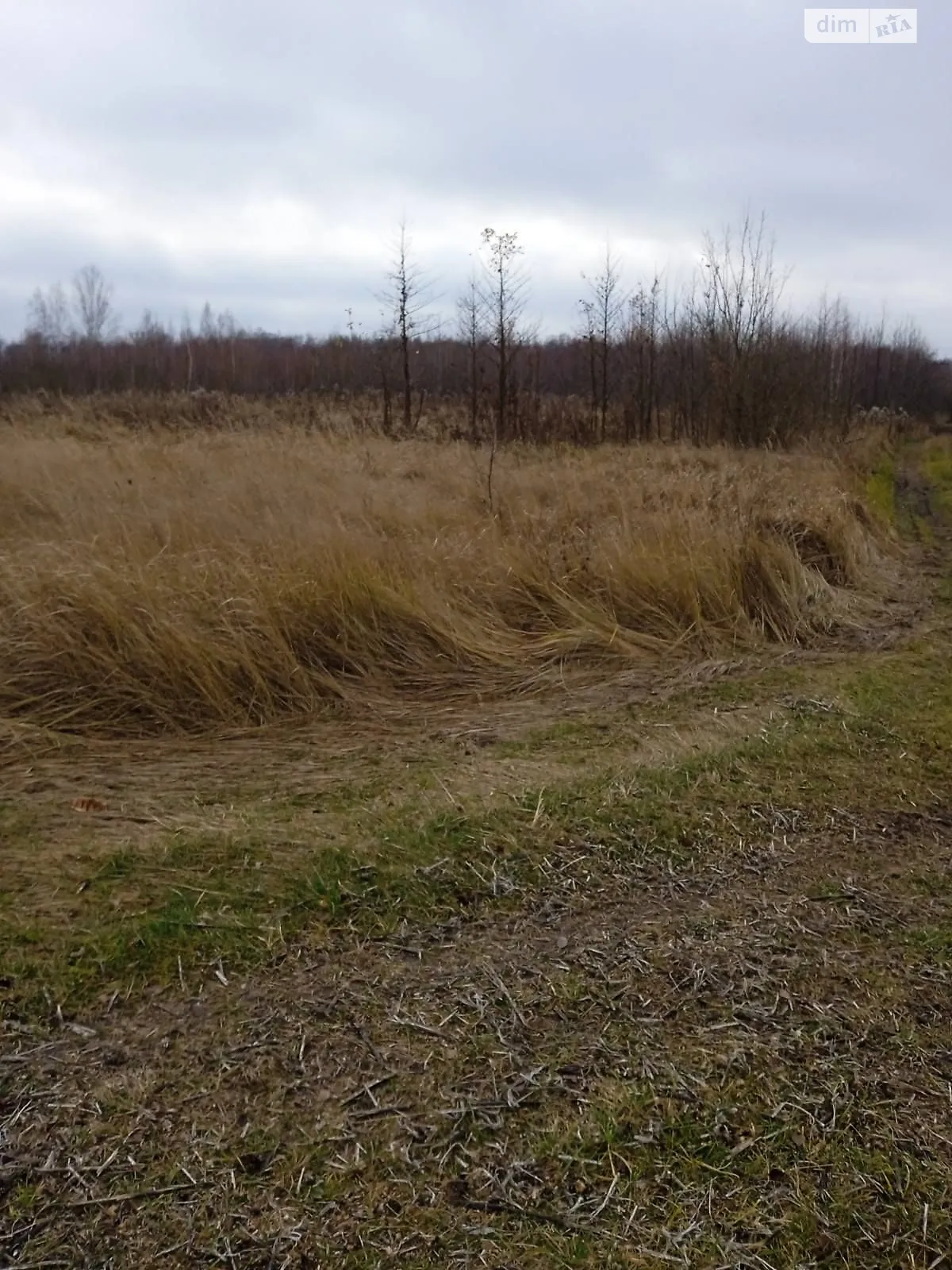 Нарцизовка, цена: 13345 грн - фото 1