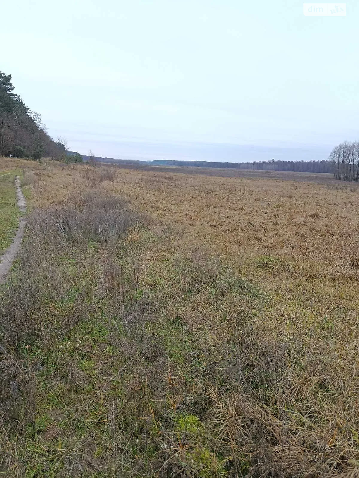 Соболевка (Липовец), цена: 20606 грн - фото 1
