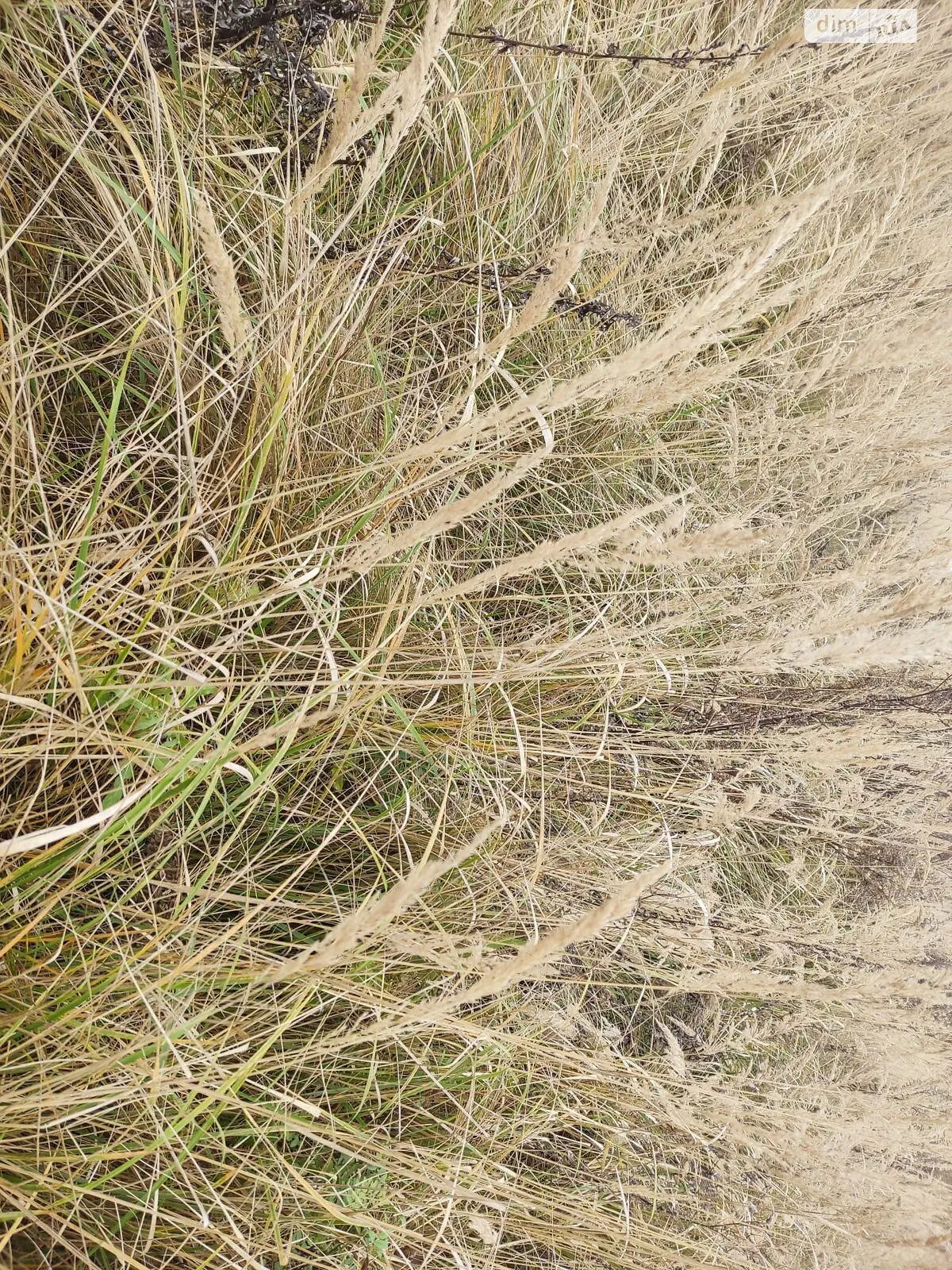 Сдается в аренду земельный участок 4.6565 соток в Львовской области, цена: 2823 грн - фото 1