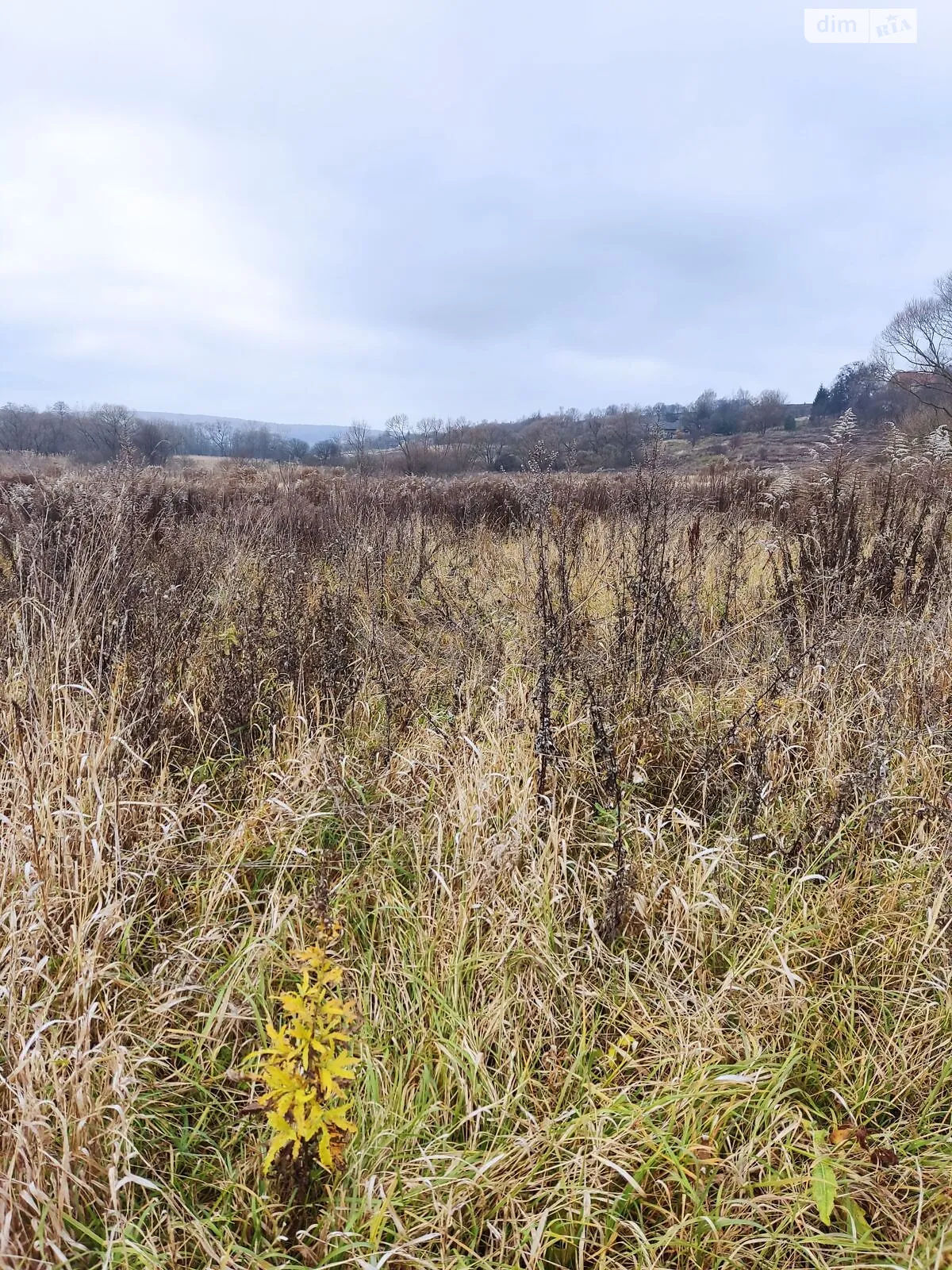 Сдается в аренду земельный участок 4.6747 соток в Львовской области, цена: 3349 грн - фото 1