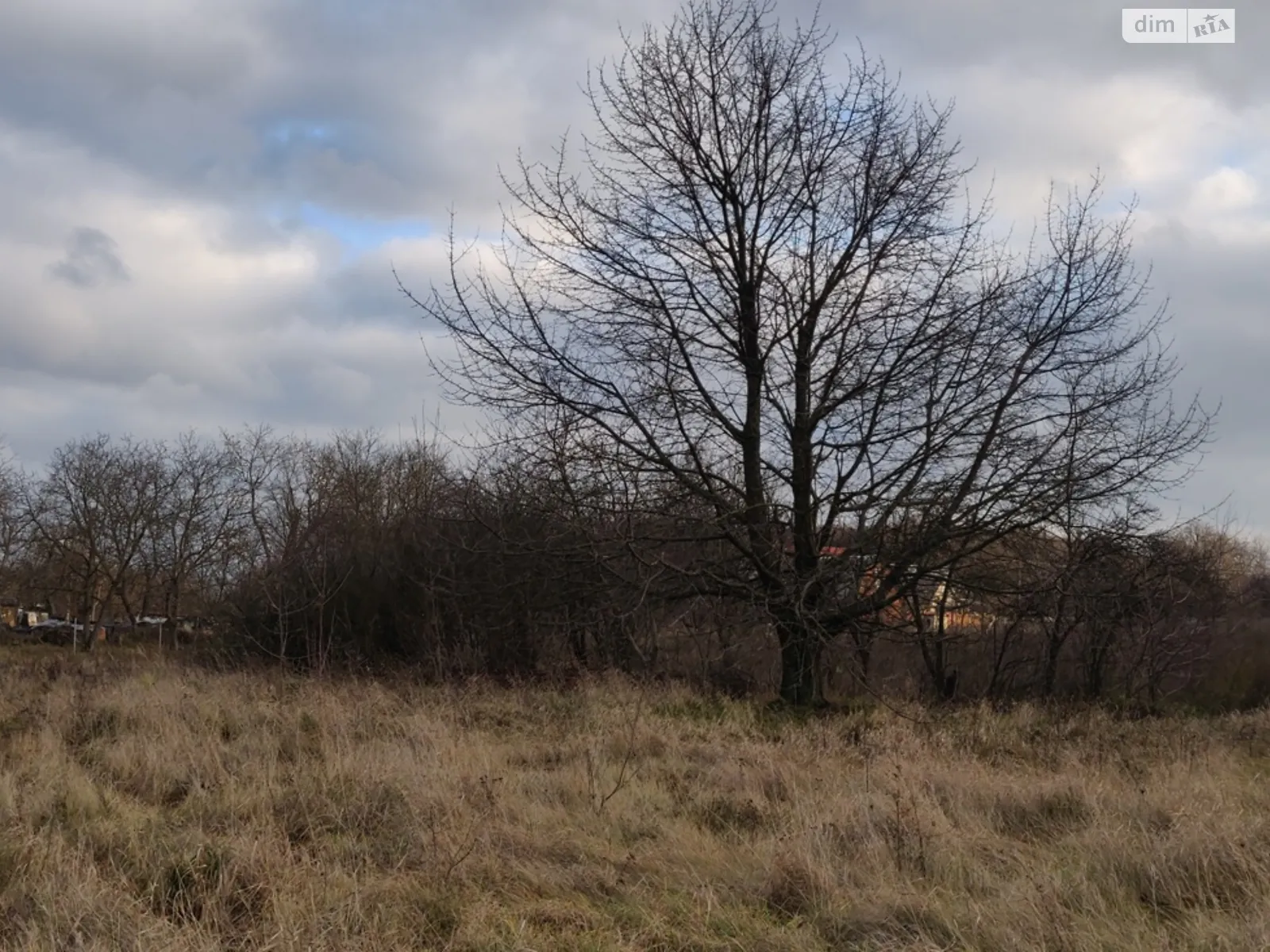 Продается земельный участок 20.36 соток в Винницкой области, цена: 20500 $ - фото 1