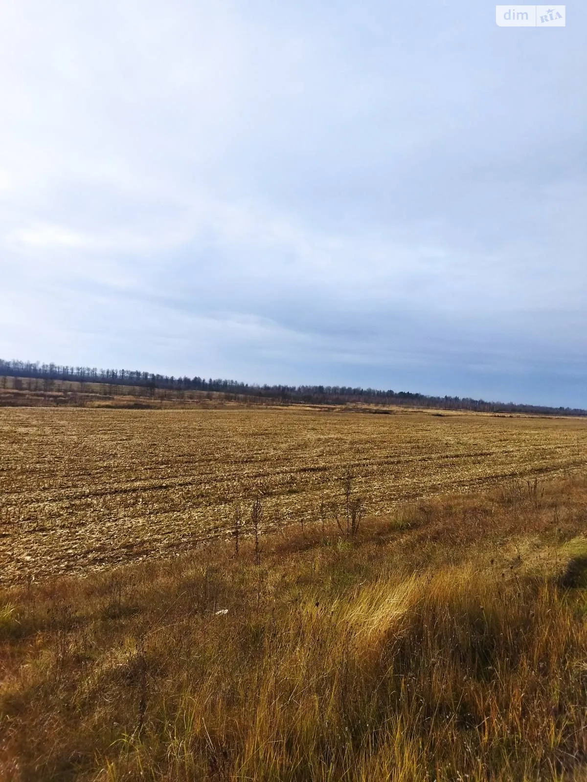 Ивановка (Житомир), цена: 7131 грн - фото 1