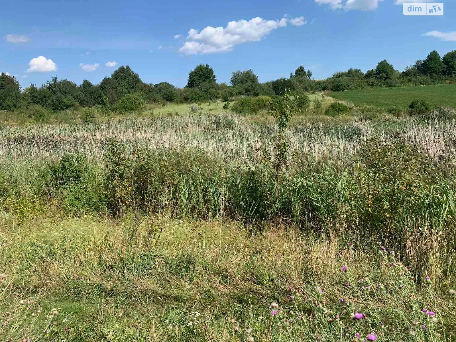 Комаров, цена: 835 грн - фото 1