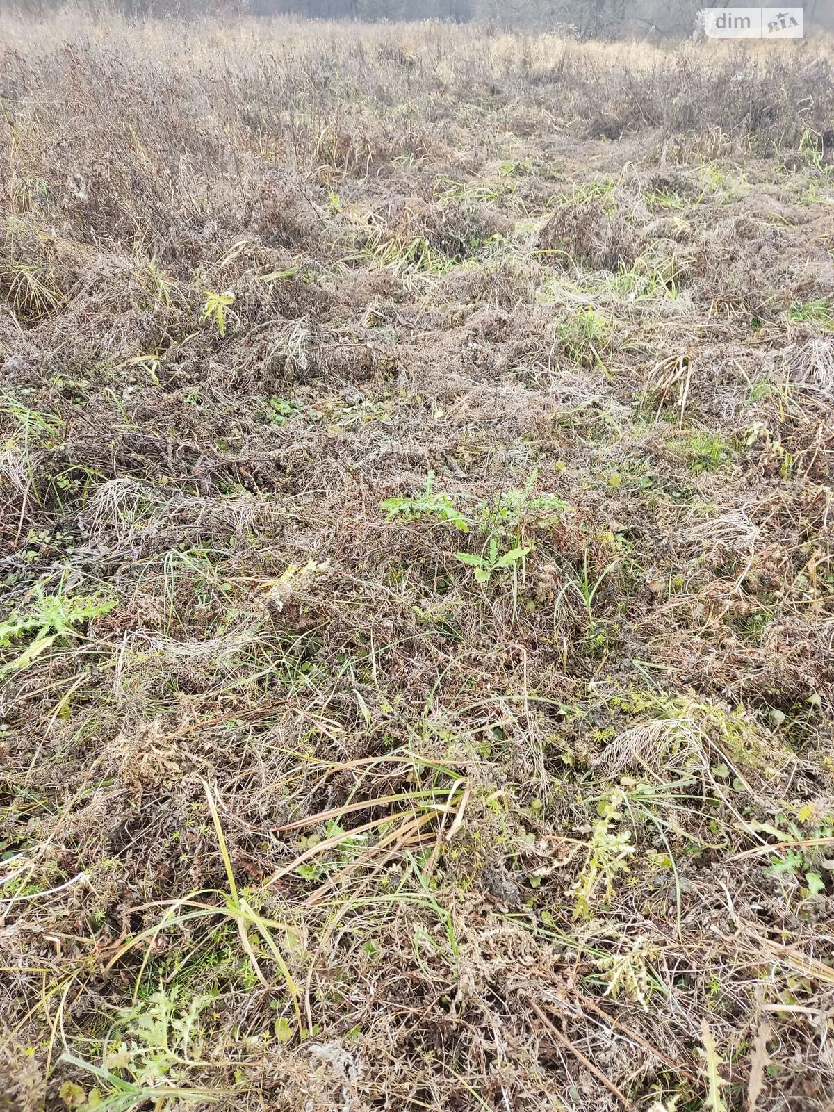 Ходоров, цена: 1128 грн - фото 1