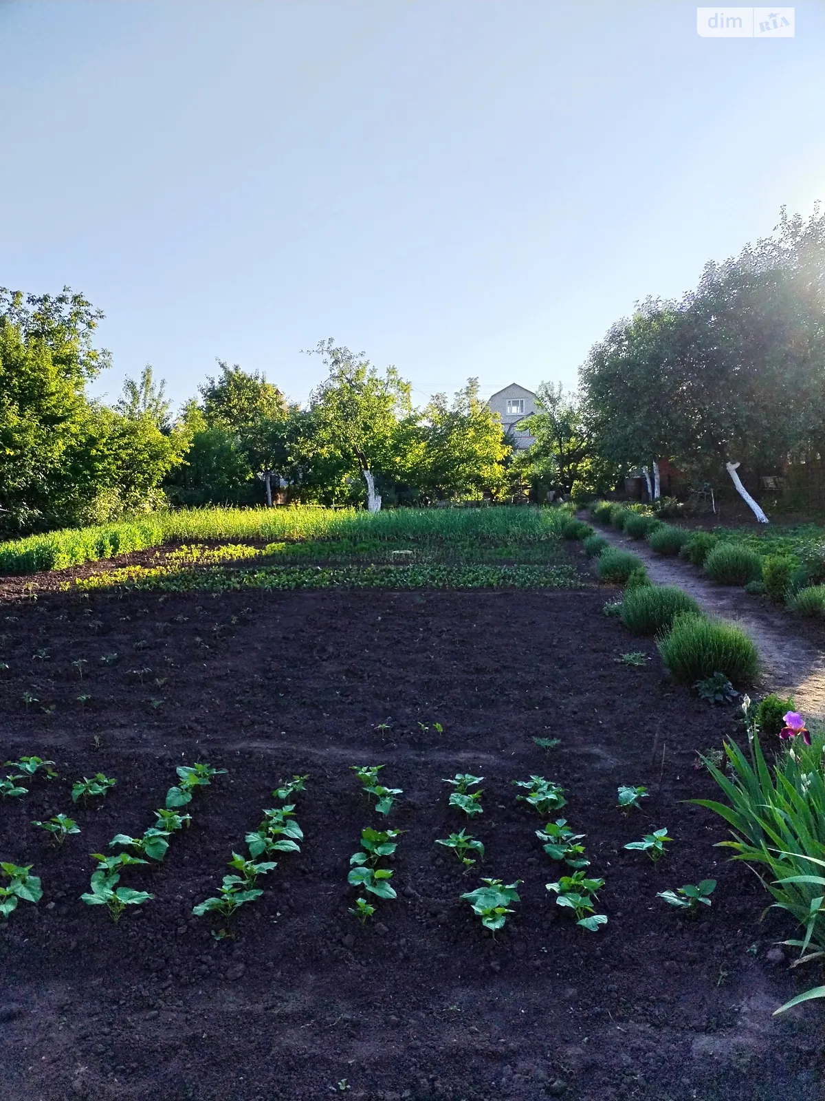 Продается земельный участок 6 соток в Хмельницкой области, цена: 11500 $ - фото 1