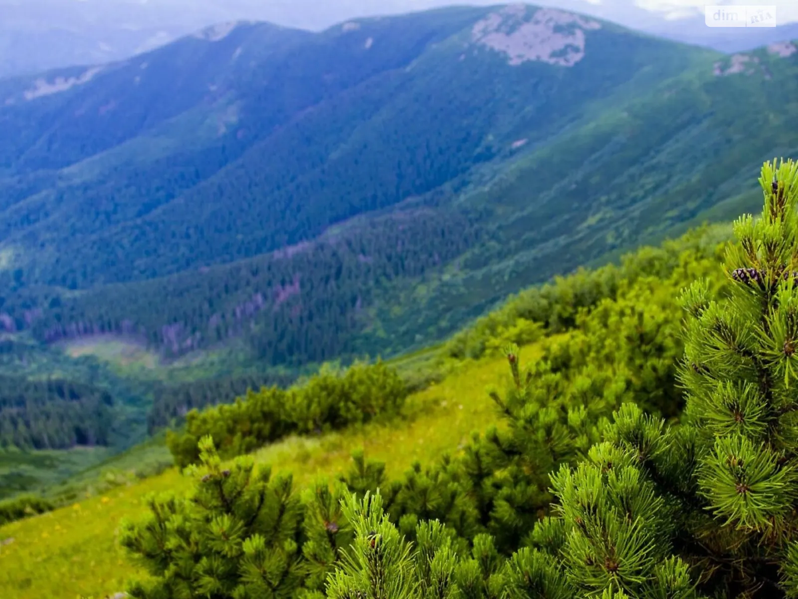 Продается земельный участок 12 соток в Закарпатской области, цена: 5500 $ - фото 1