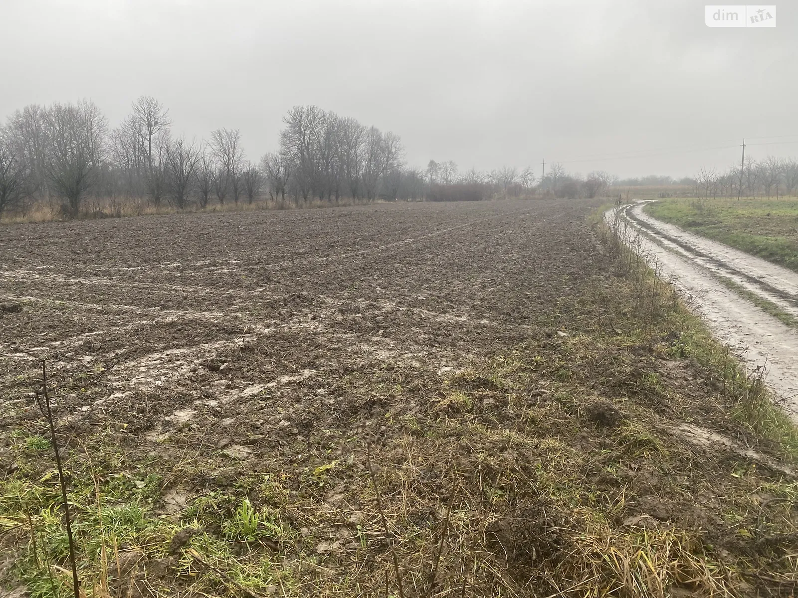 Продается земельный участок 20.5 соток в Винницкой области, цена: 8000 $ - фото 1