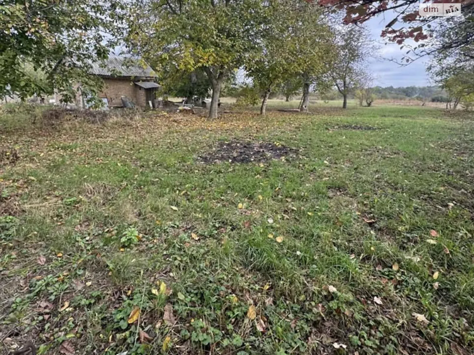 ул. Мирная, 61 Зарванцы, цена: 73000 $ - фото 1