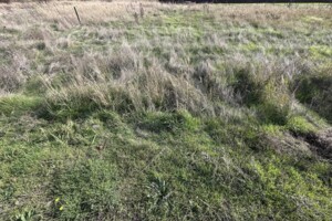 Купить землю под застройку в Одесской области