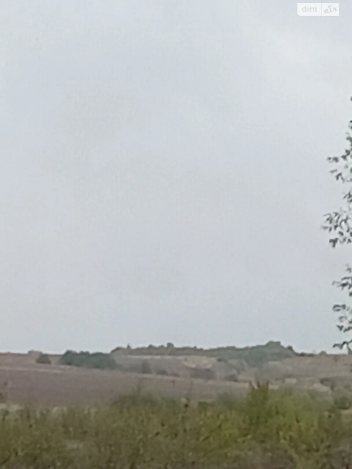 Селец, цена: 561 грн - фото 1