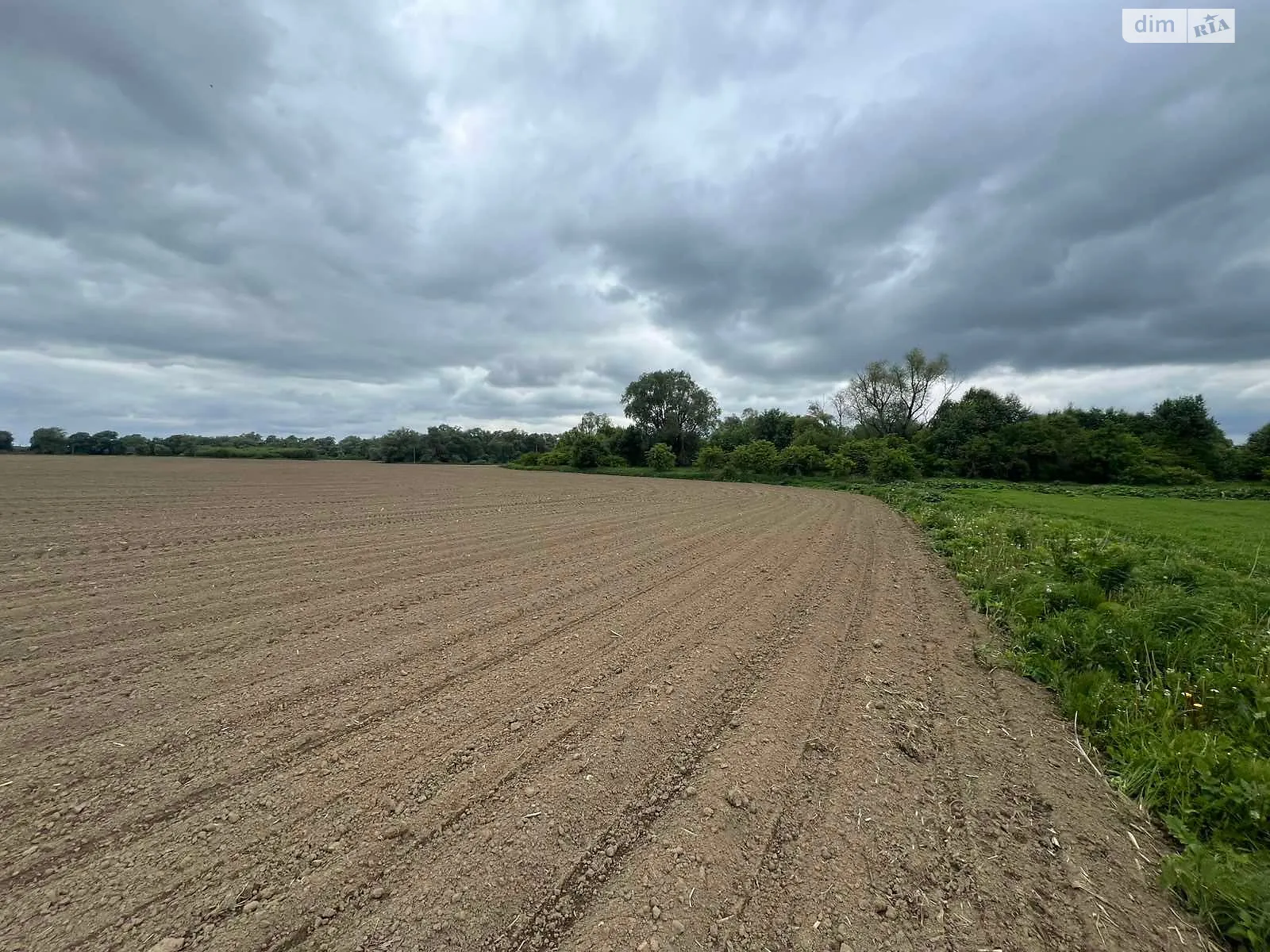 Бережница, цена: 50226 грн - фото 1