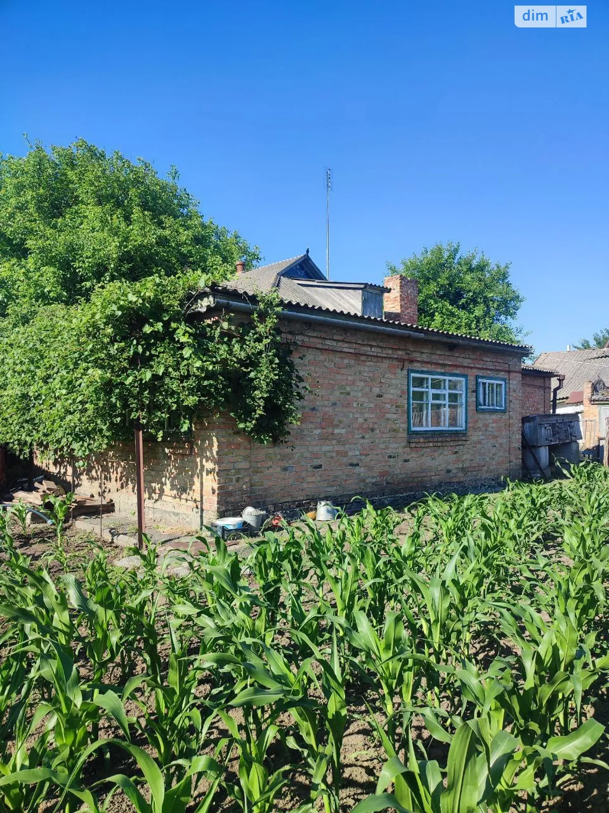 Продается одноэтажный дом 96 кв. м с садом, цена: 15000 $ - фото 1