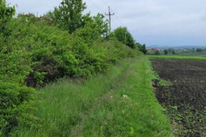 Продажа земли коммерческого назначения, Тернопольская, Смыковцы