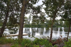 Купить землю под застройку в Киевской области