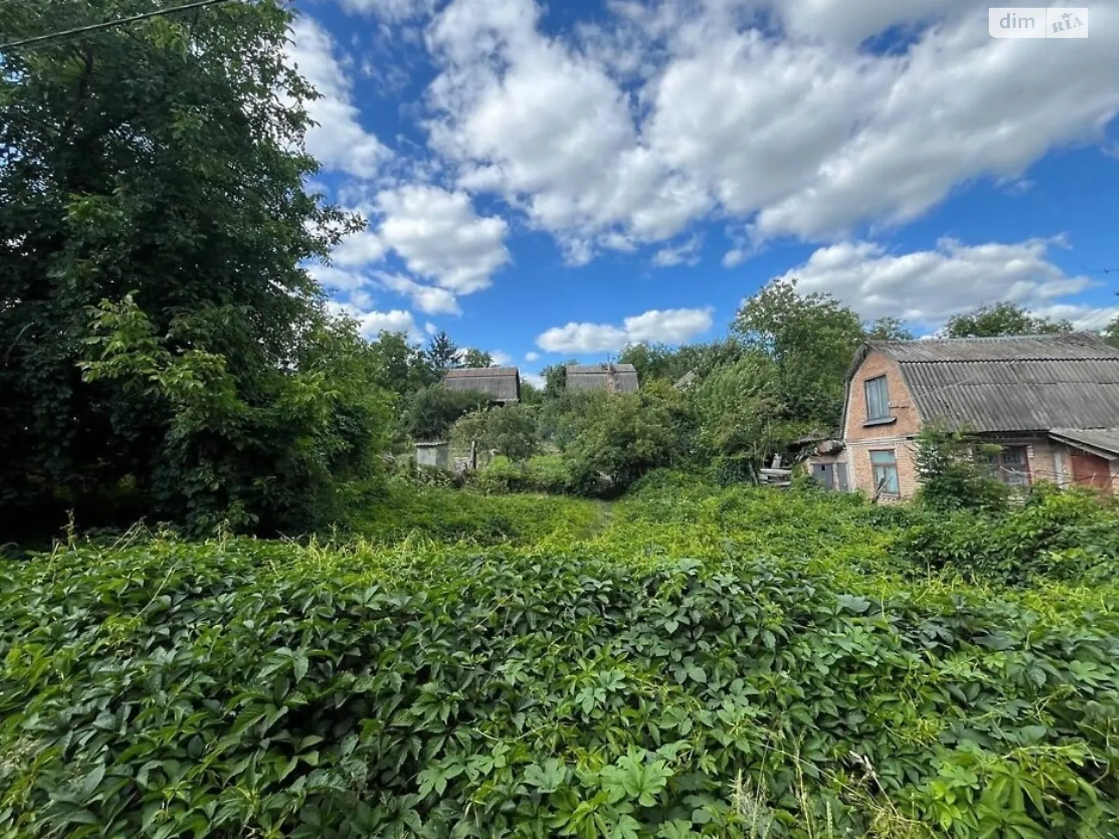 Продается земельный участок 4.96 соток в Винницкой области, цена: 28000 $ - фото 1