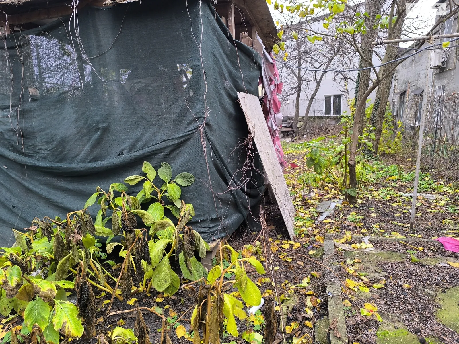 Продается земельный участок 5.2 соток в Одесской области, цена: 185000 $ - фото 1