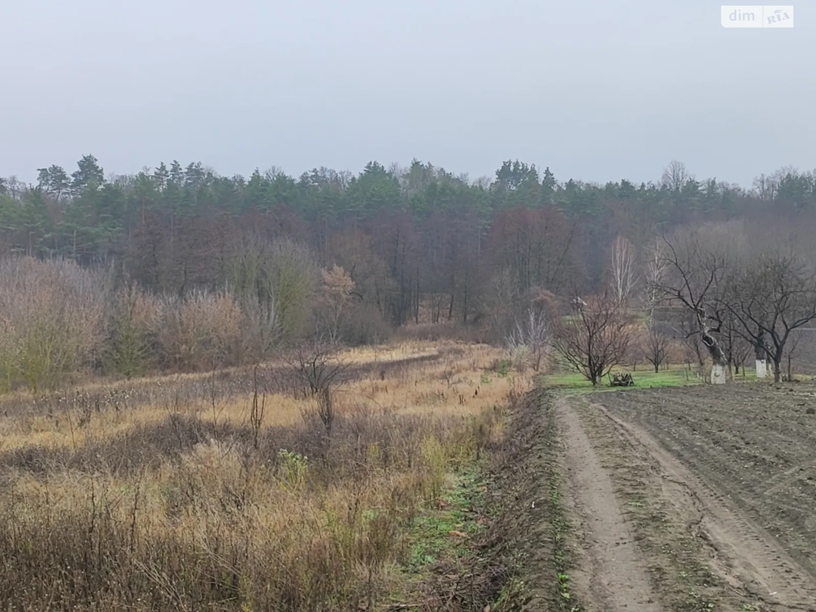 Продається одноповерховий будинок 26.5 кв. м с басейном, цена: 35000 $ - фото 1