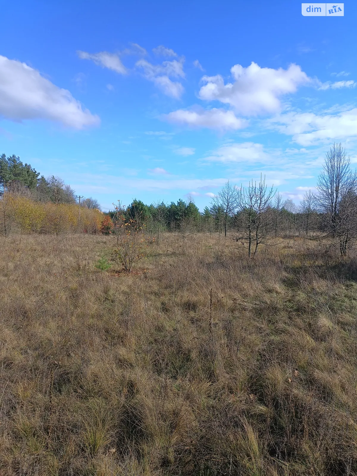 Продается земельный участок 10 соток в Черкасской области, цена: 5000 $ - фото 1