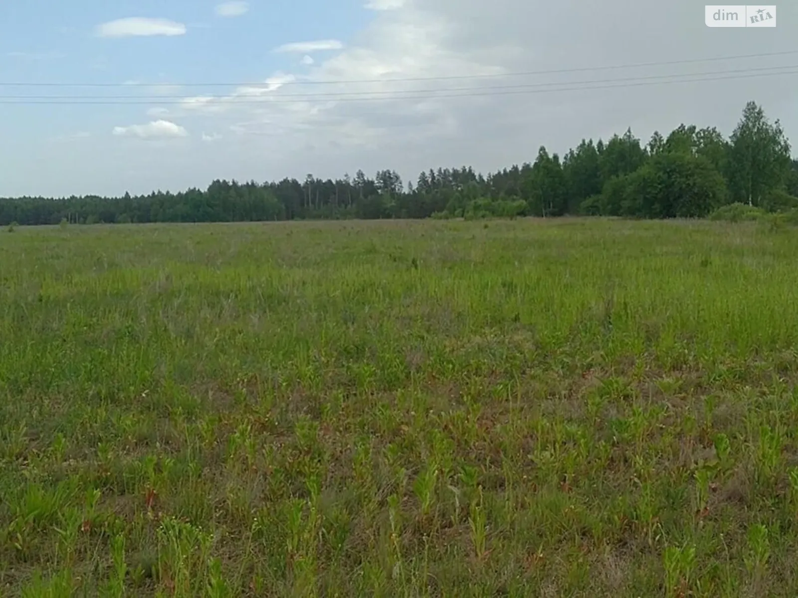 Сдается в аренду земельный участок 10.0278 соток в  области, цена: 15517 грн - фото 1