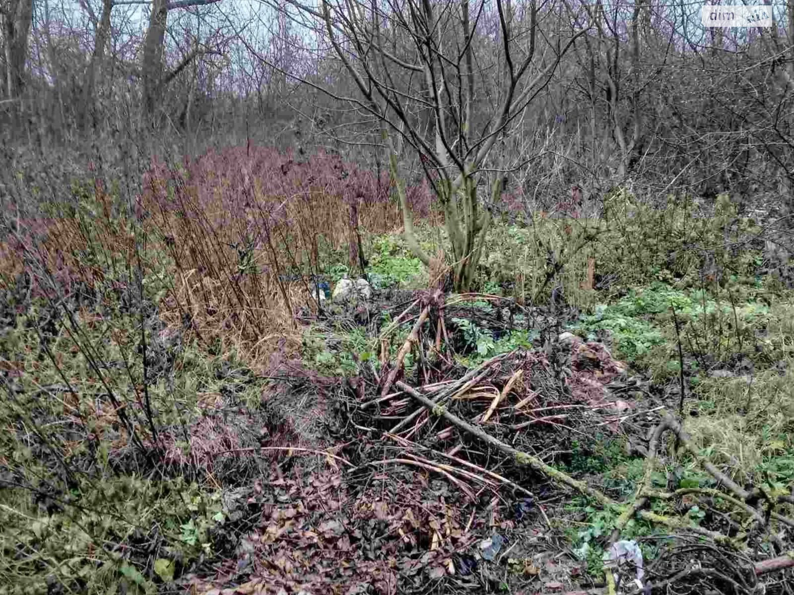 Сдается в аренду земельный участок 2.2966 соток в Тернопольской области, цена: 11115 грн - фото 1