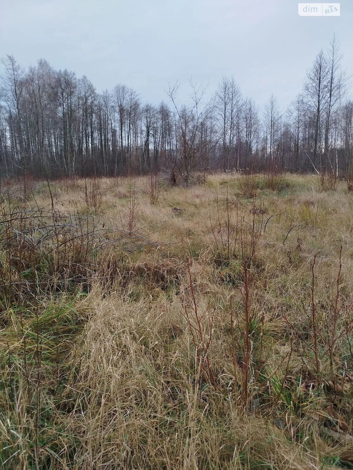 Сдается в аренду земельный участок 15.776 соток в  области, цена: 32738 грн - фото 1