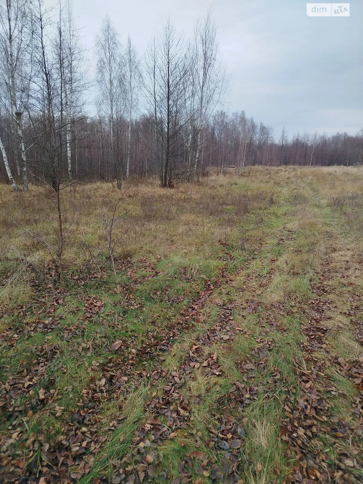 Сдается в аренду земельный участок 12.4176 соток в  области, цена: 30213 грн - фото 1