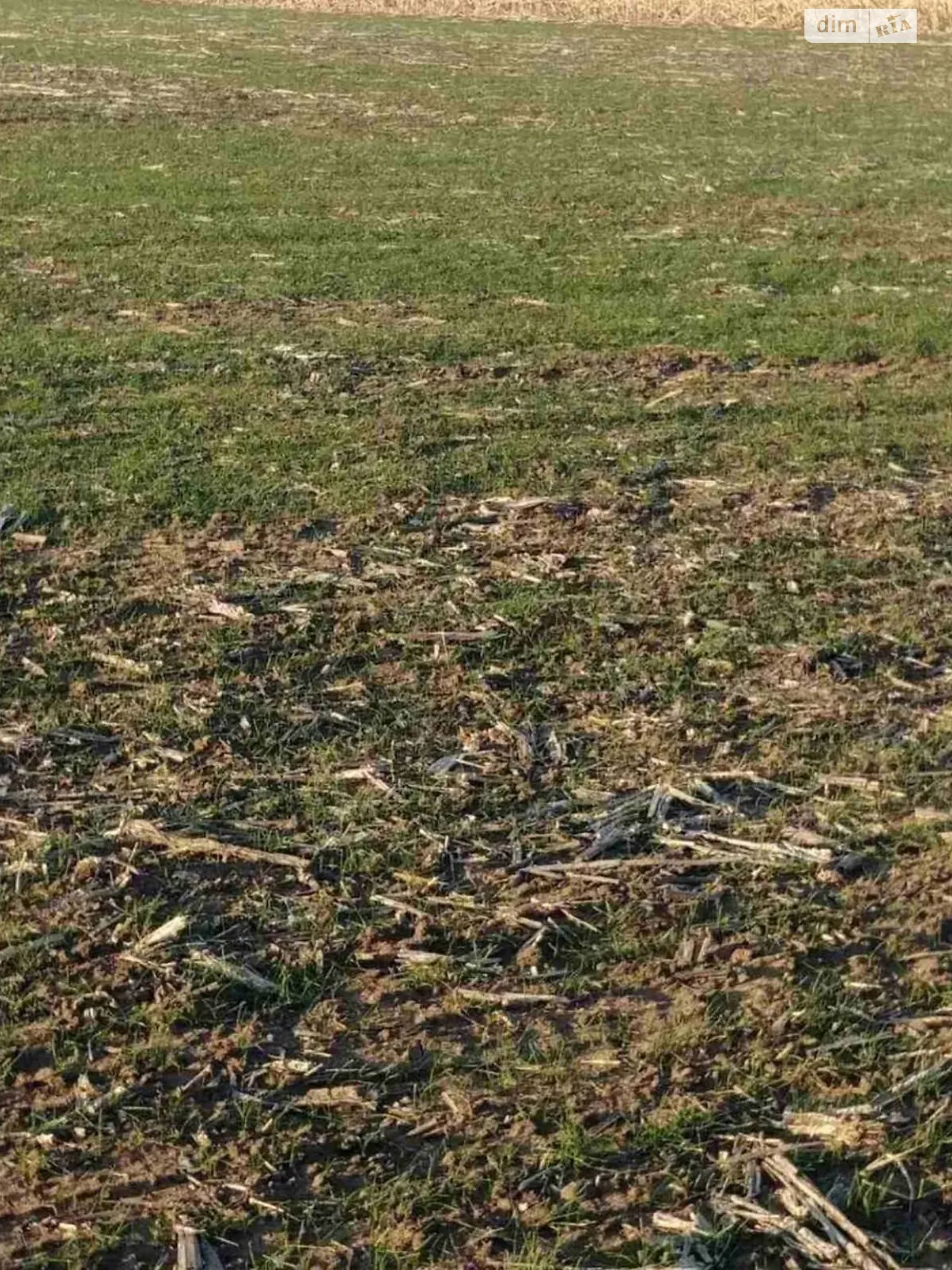 Здається в оренду земельна ділянка 11.88 соток у  області, цена: 42190 грн - фото 1