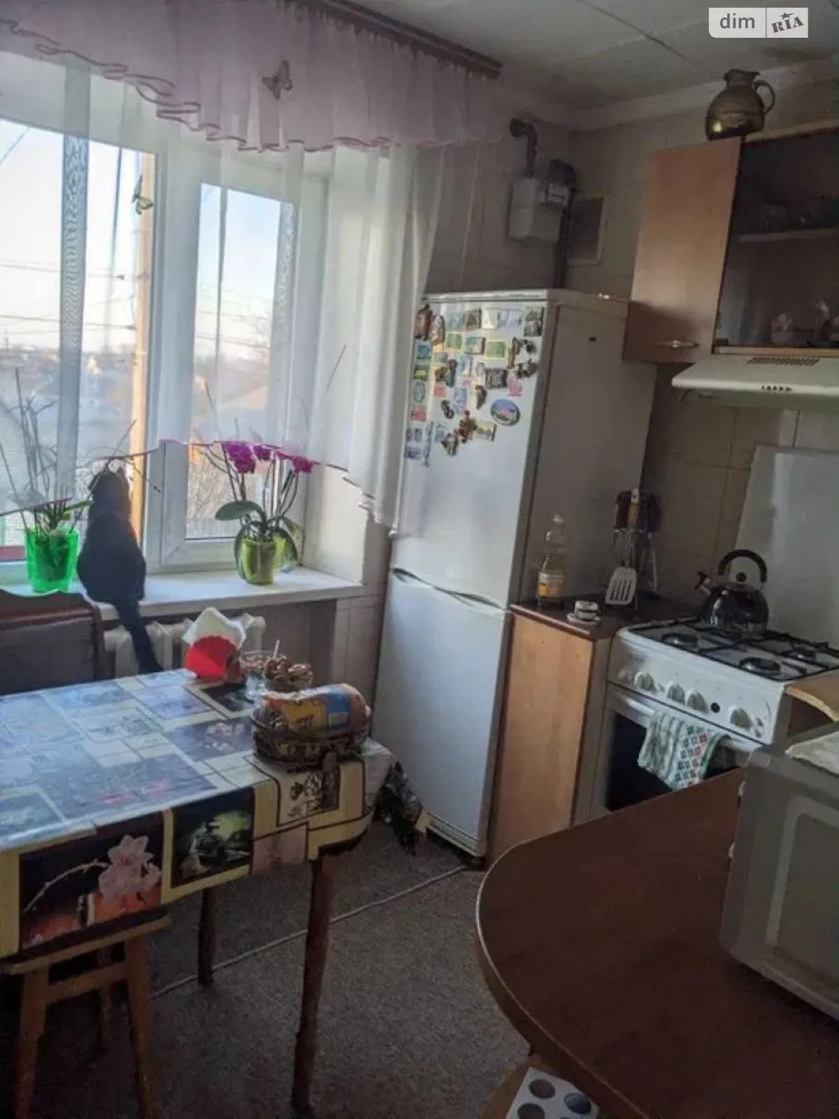 вул. Соборна Димер - фото 1