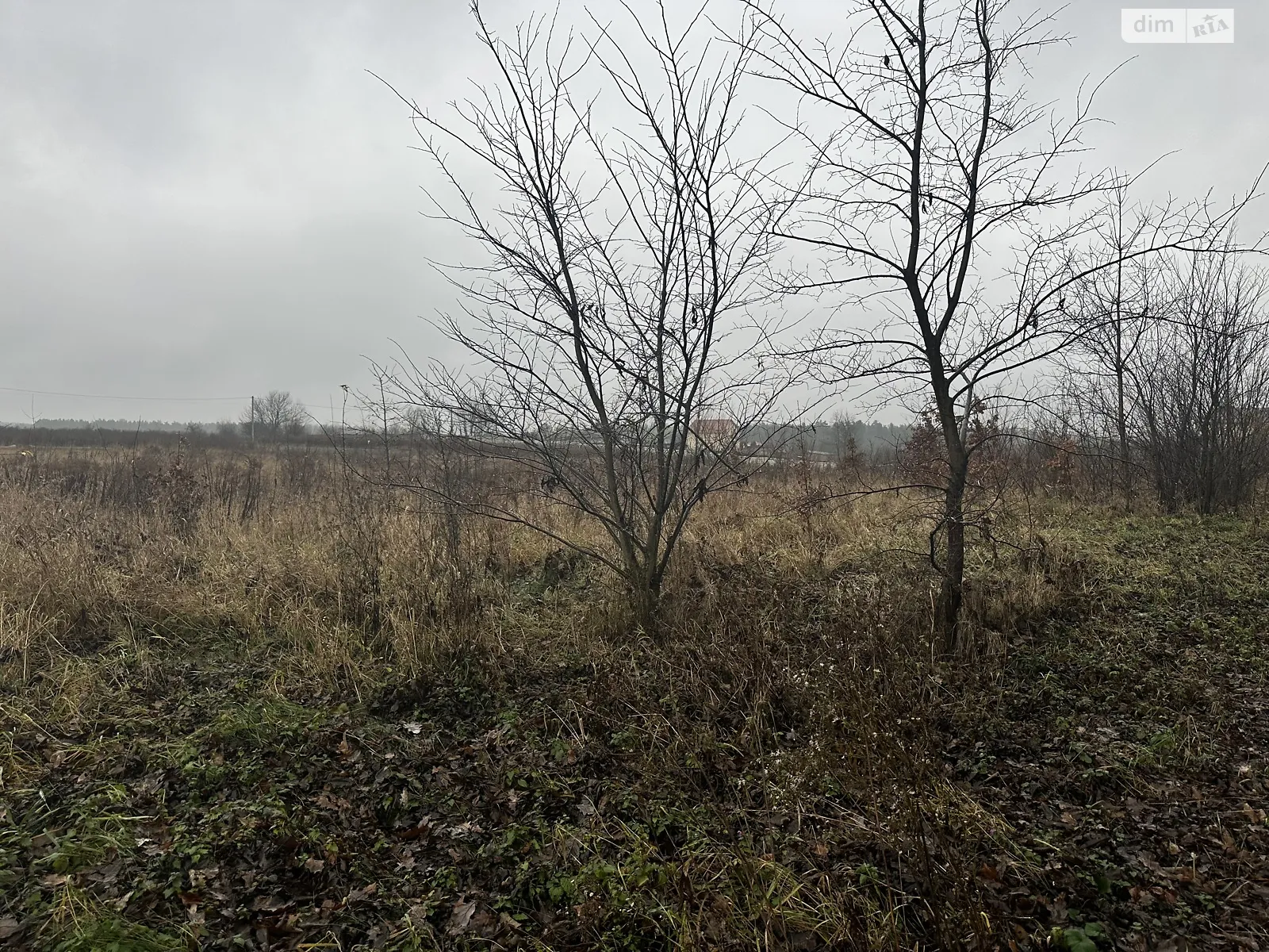 Продается земельный участок 17 соток в Винницкой области, цена: 35000 $ - фото 1