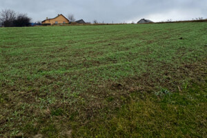 Купить землю под застройку в Ровенской области